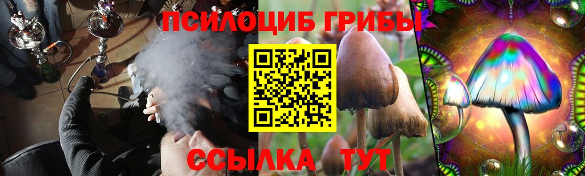 Псилоцибиновые грибы Psilocybine cubensis  закладка  Кемерово  Вход с VPN 